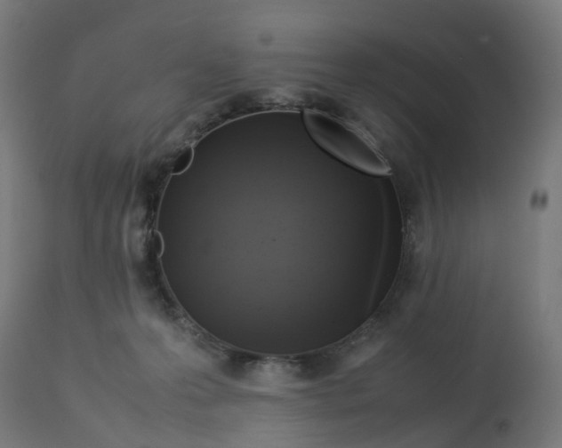 X0000112770223200909171321