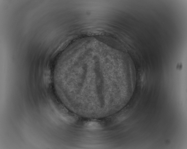 X0000112770224200909171321