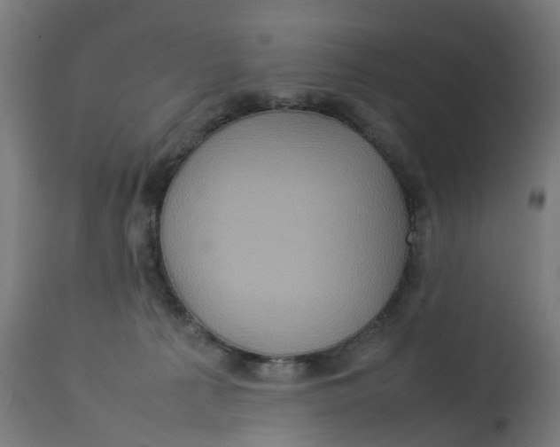 X0000112770225200909171321