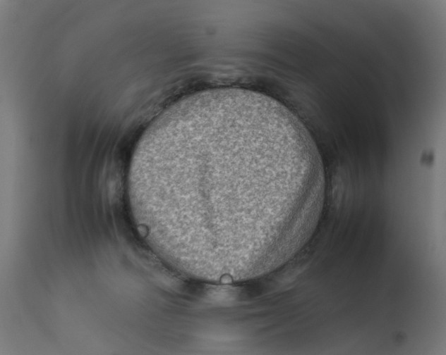 X0000112770226200909171321