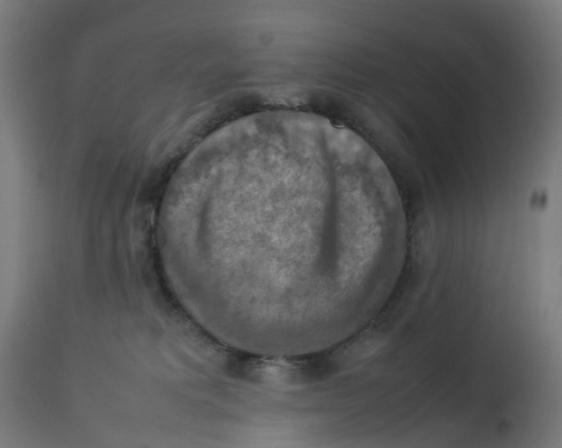 X0000112770229200909171321