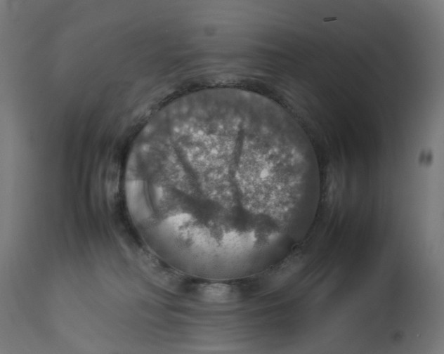 X0000112770230200909171321