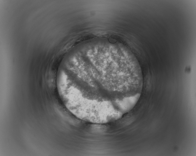 X0000112770234200909171321