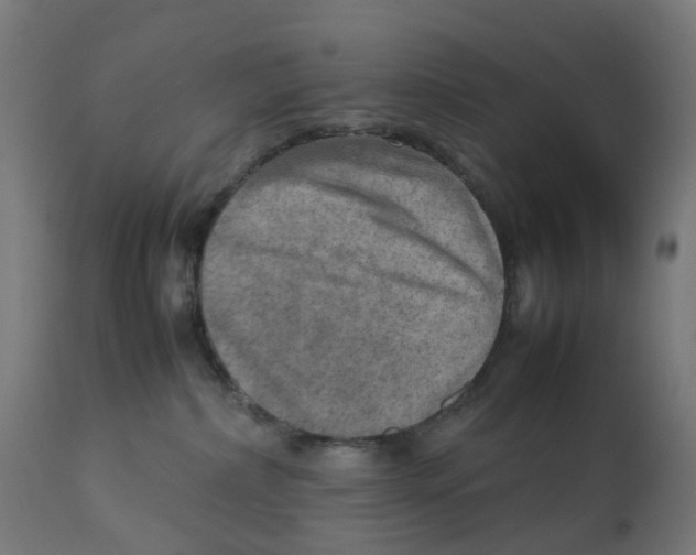 X0000112770236200909171321