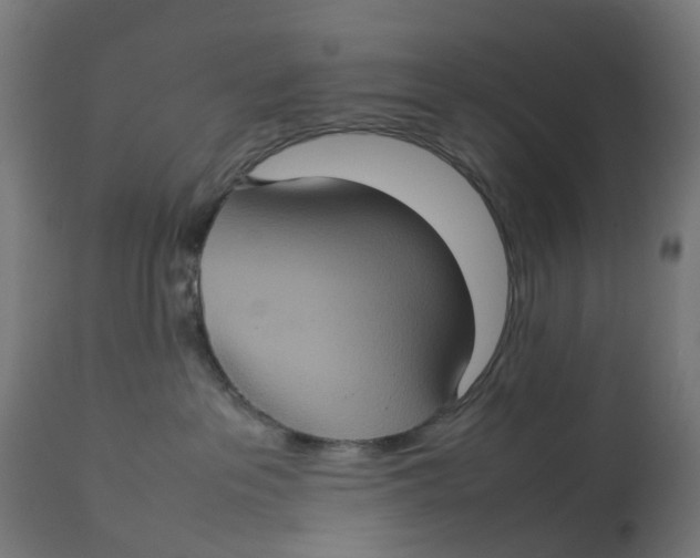 X0000112770237200909171321