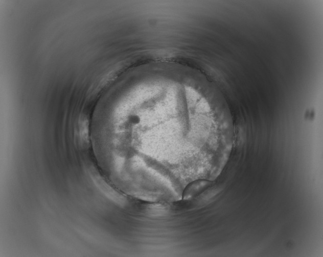 X0000112770238200909171320