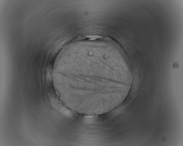 X0000112770240200909171320