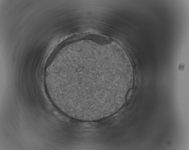 X0000112770241200909171320