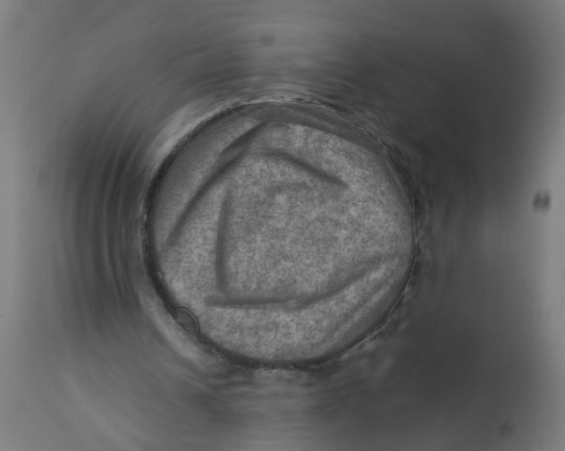 X0000112770242200909171320