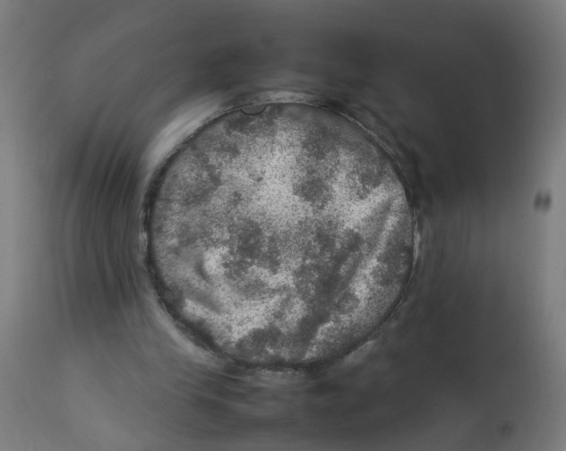 X0000112770245200909171320