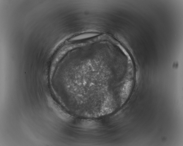 X0000112770249200909171320