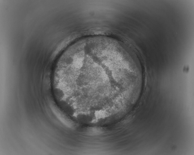 X0000112770250200909171320