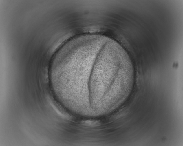 X0000112770251200909171320