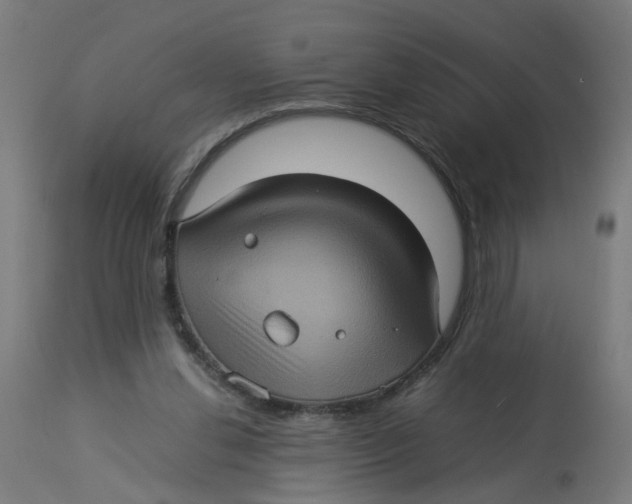 X0000112770252200909171320