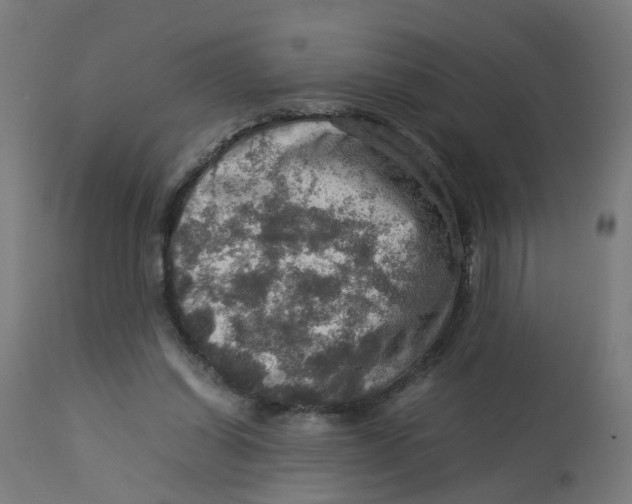 X0000112770254200909171320