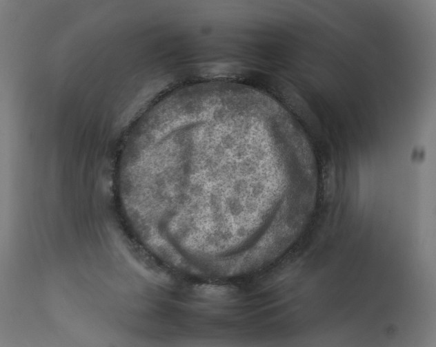 X0000112770255200909171320