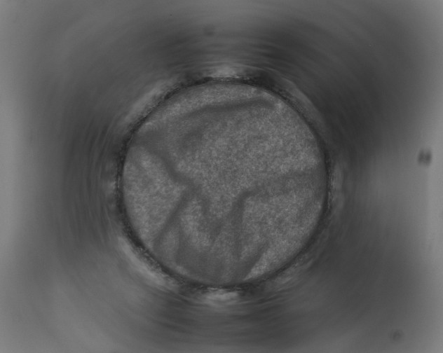 X0000112770257200909171320