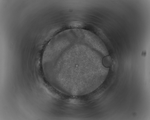 X0000112770259200909171320