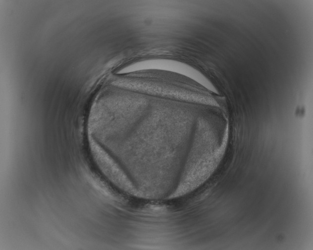 X0000112770260200909171320