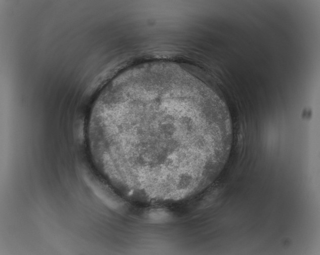 X0000112770262200909171320