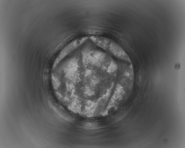 X0000112770263200909171320