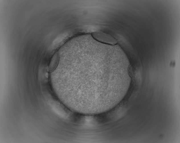 X0000112770264200909171320