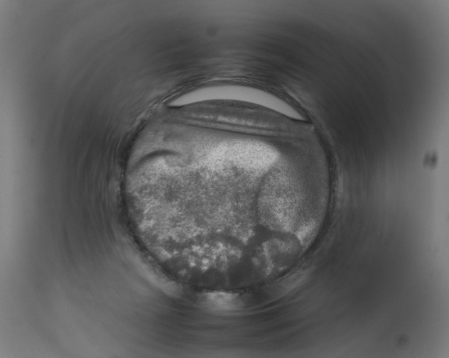 X0000112770265200909171320