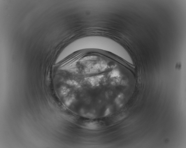 X0000112770267200909171320