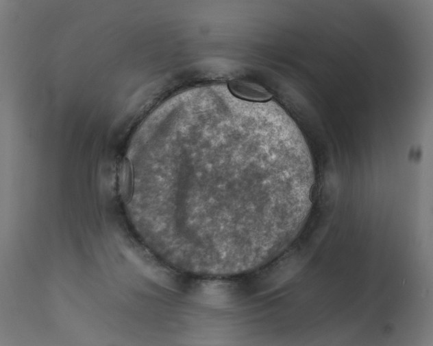 X0000112770268200909171320