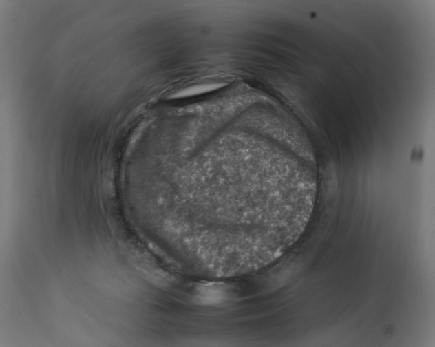 X0000112770269200909171320