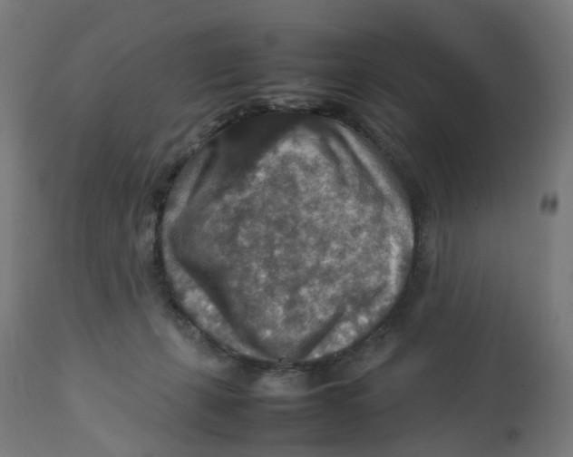 X0000112770271200909171320