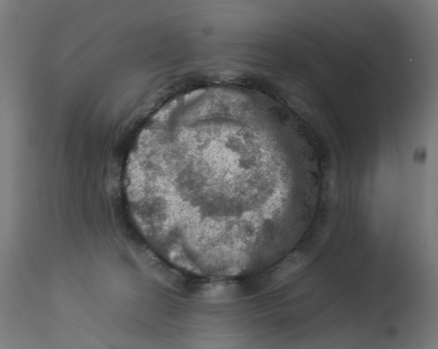 X0000112770274200909171320