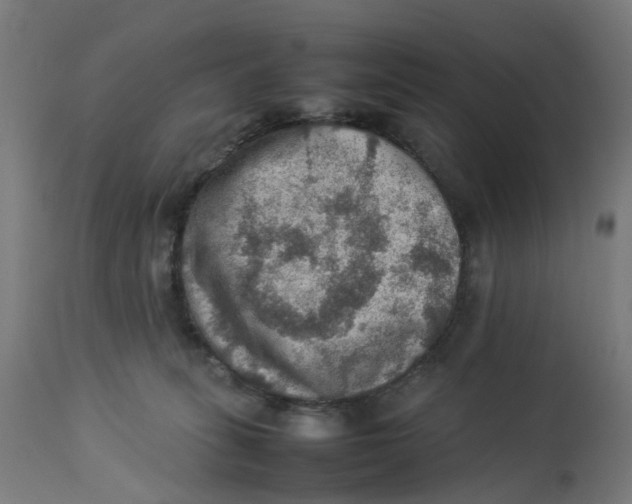 X0000112770275200909171320