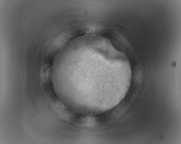 X0000112770276200909171320