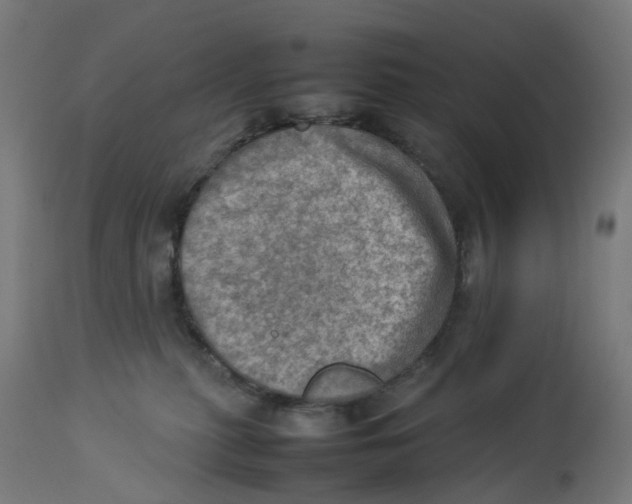 X0000112770279200909171320