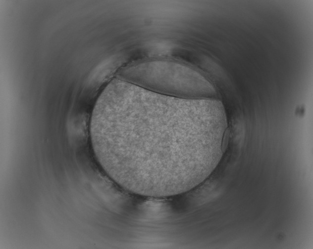 X0000112770280200909171320