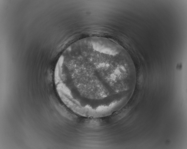 X0000112770282200909171320