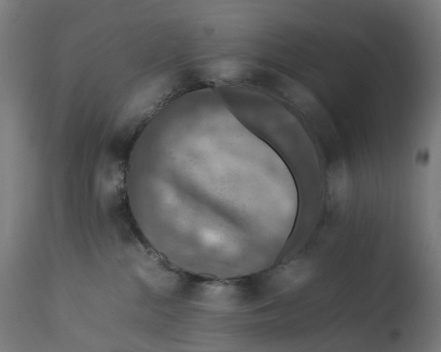 X0000112770284200909171320