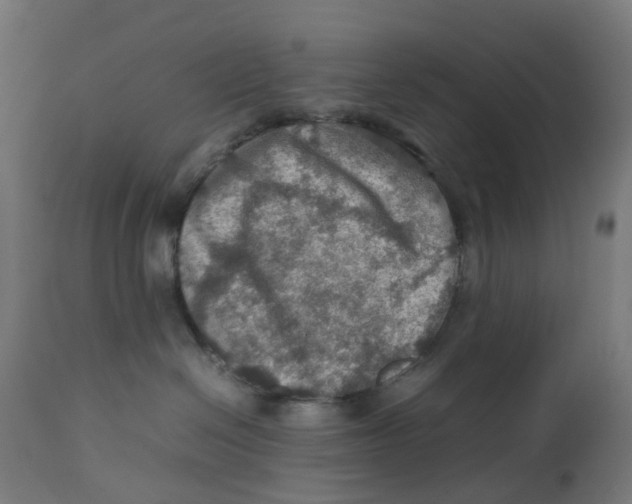 X0000112770286200909171320