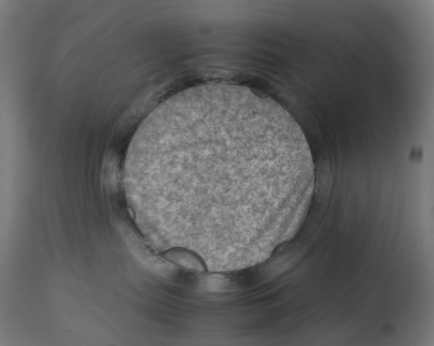 X0000112770287200909171320