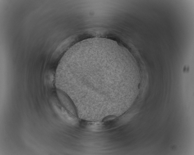 X0000112770288200909171320