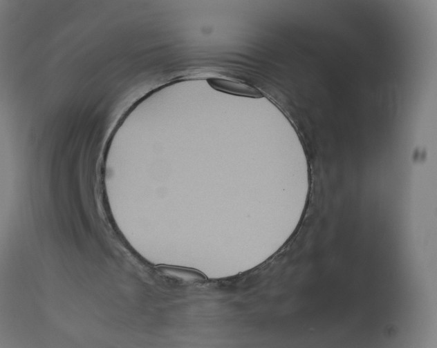 X0000112770289200909171320