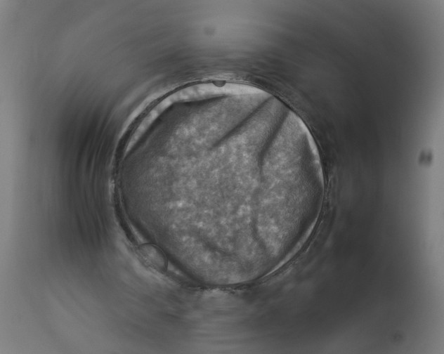 X0000112770290200909171320