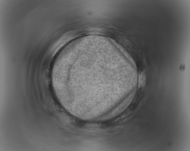 X0000112770291200909171320