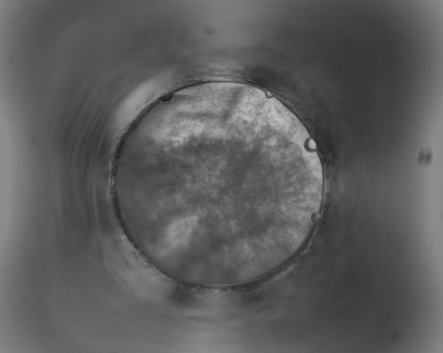 X0000112770293200909171320