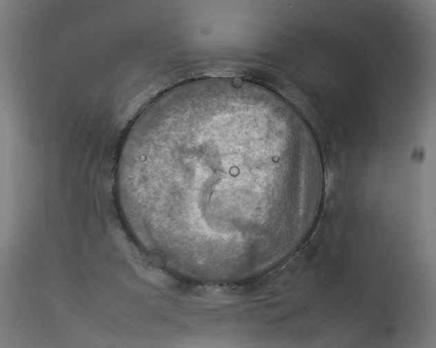 X0000112770297200909171319