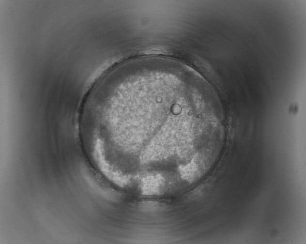 X0000112770298200909171319