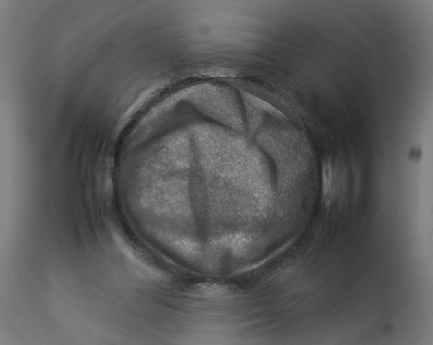 X0000112770300200909171319