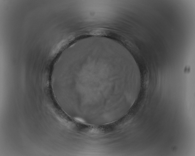 X0000112770303200909171319