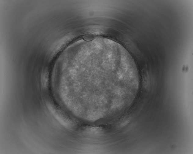 X0000112770304200909171319